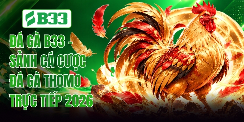 Đá Gà B33 - Sân Chơi Cá Cược Trực Tuyến Đỉnh Cao Châu Á