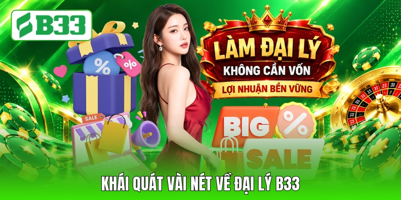 Khái quát vài nét về đại lý B33