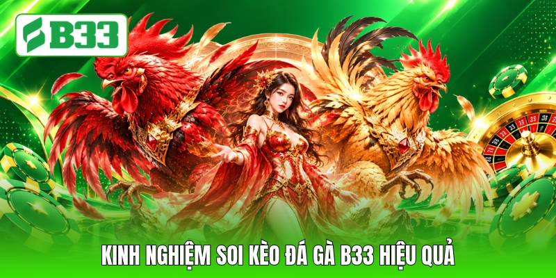 Kinh nghiệm soi kèo đá gà B33 hiệu quả